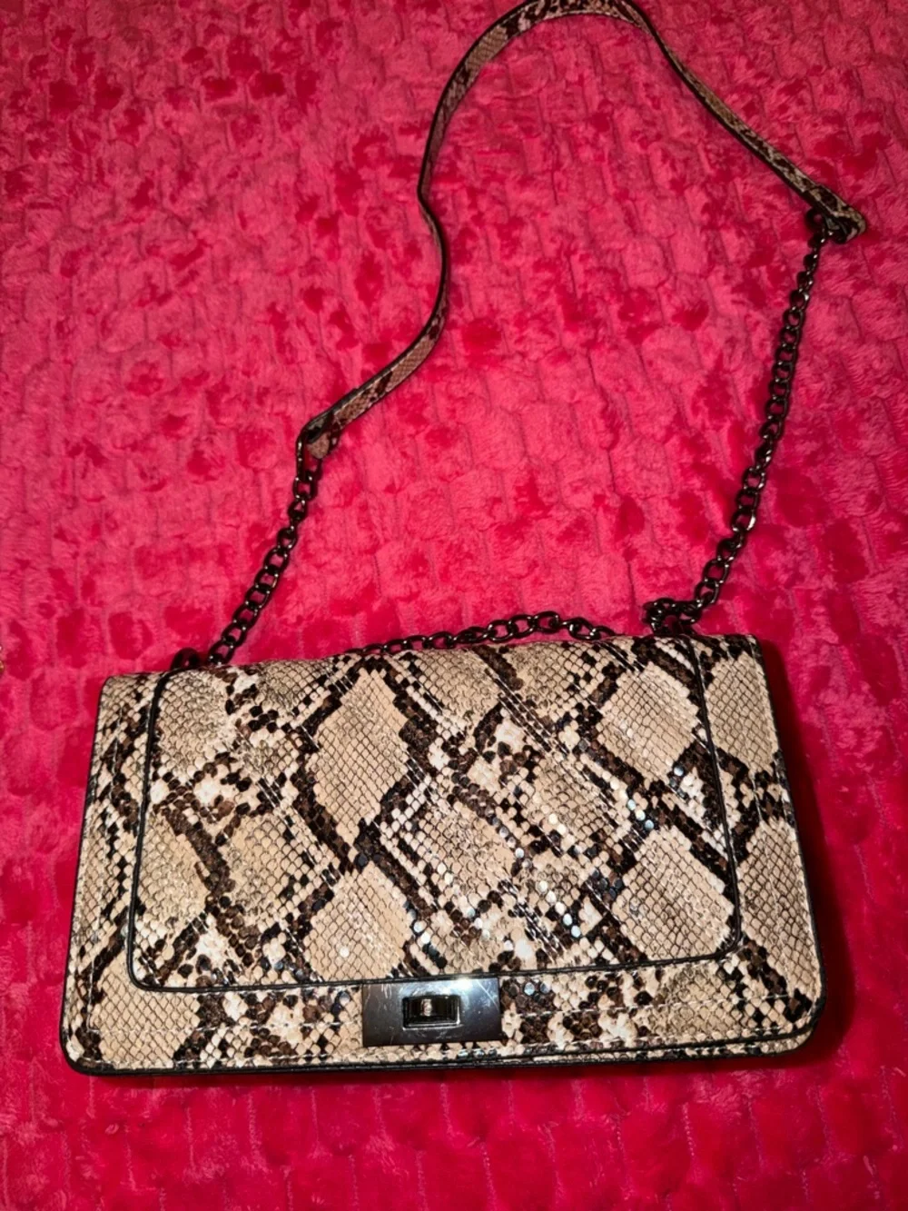 Python-Print Chain Shoulder Bag in Beige and Black